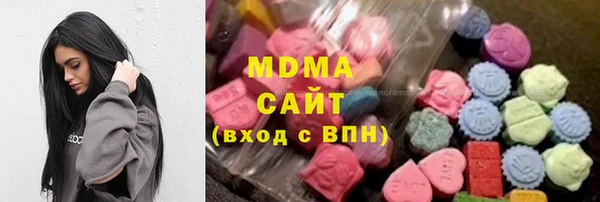 индика Алексин