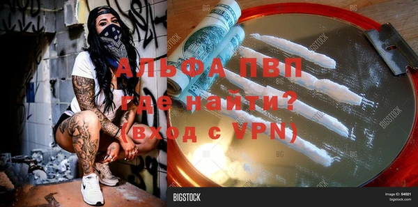 индика Алексин