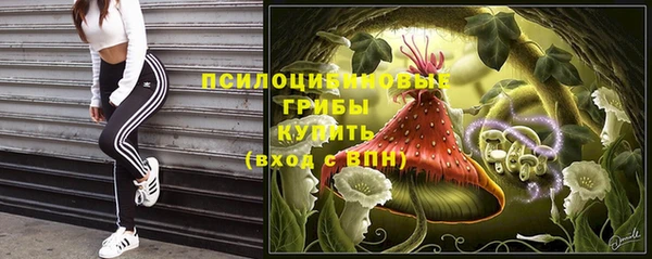 дмт Алексеевка