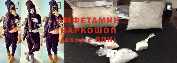 индика Алексин