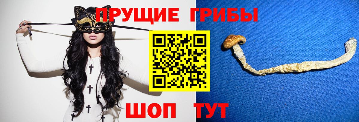 Псилоцибиновые грибы GOLDEN TEACHER Коряжма